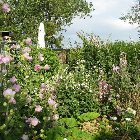 Texels Groen Hotel Oudeschild